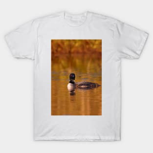 On Golden Pond - Common Loon T-Shirt